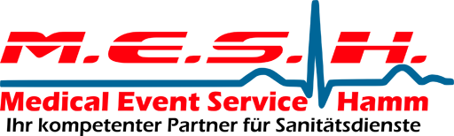 Mesh Logo